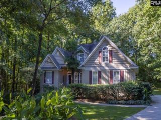 Foreclosed Home - 714 GASQUE CT, 29072
