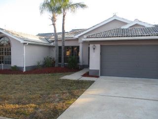 Foreclosed Home - 14136 Faldo Court, 34667