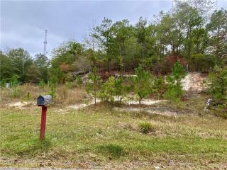 Foreclosed Home - 1001 43rd Avenue, 36869