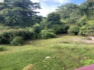 Foreclosed Home - 203 ORANGE ST, 39401