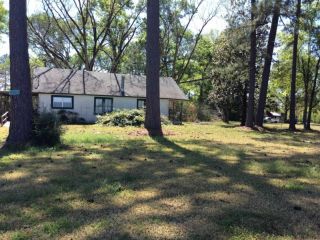 Foreclosed Home - 4611 COUNTY ROAD 3068, 75956