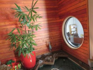 Foreclosed Home - List 100351114