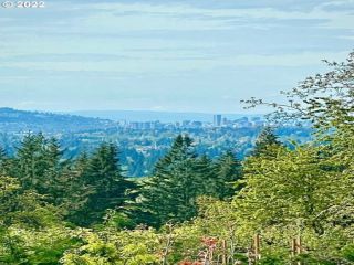 Foreclosed Home - List 100455464